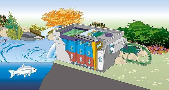 锦鲤鱼池过滤设备价格,鱼池净化过滤设备排行