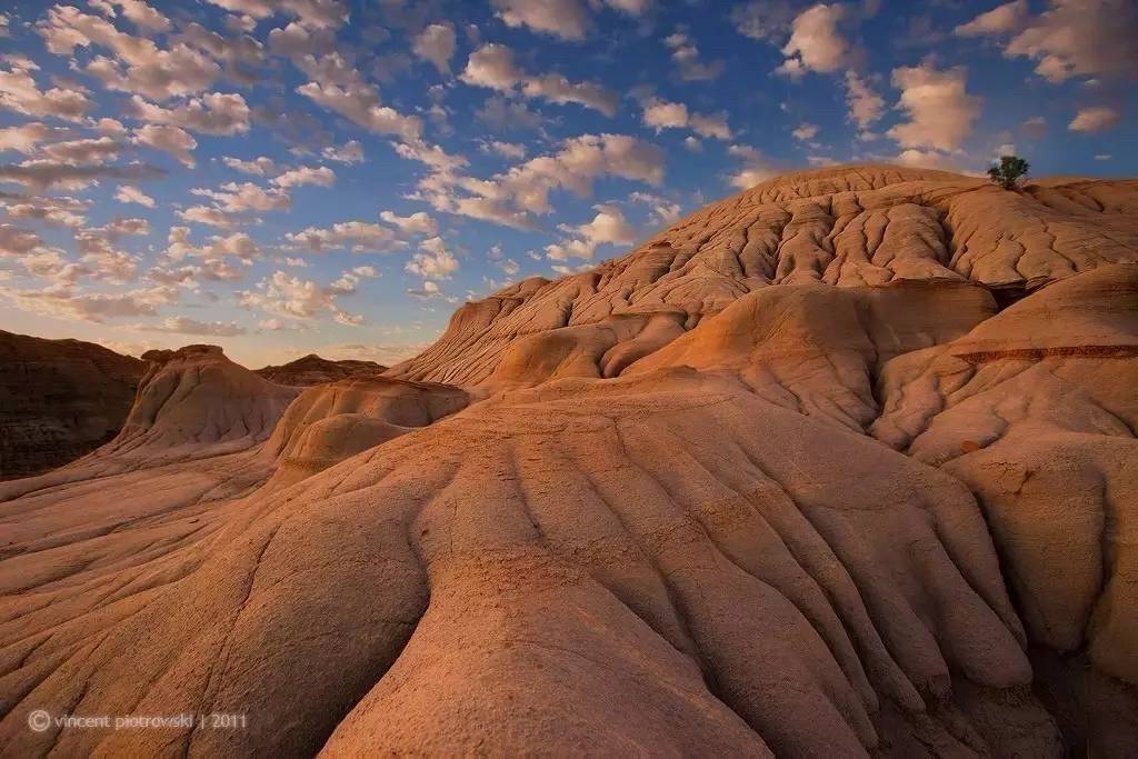 如此狂野的卡尔加里，可以造就怎样神奇的音乐？