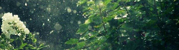 古诗中有雨诗句有哪些,雨中有诗意