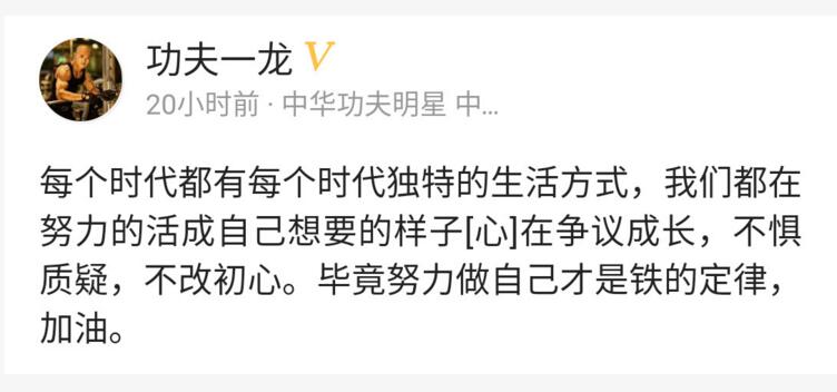 一龙发展如何,一龙为什么一直饱受争议