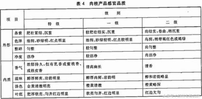 老杨说茶完整版视频,老杨说茶112期