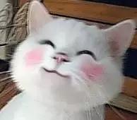 这样的叫床方式，有点一言难尽！