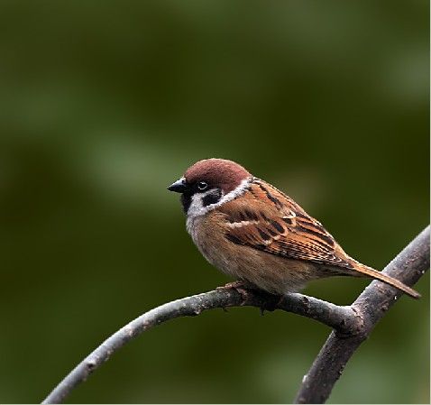 小时候老一辈人说的禁忌,小时候的风俗和禁忌