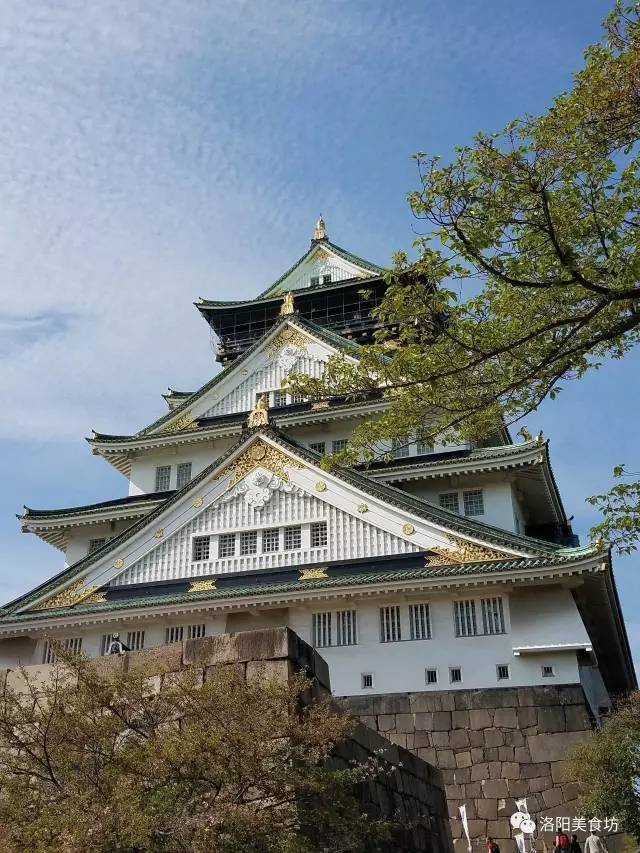 东京京都大阪奈良攻略8天,京都大阪神户奈良自由行第2版