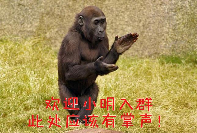 表情定制老司机，新人入群遭*戏调**，保证质量