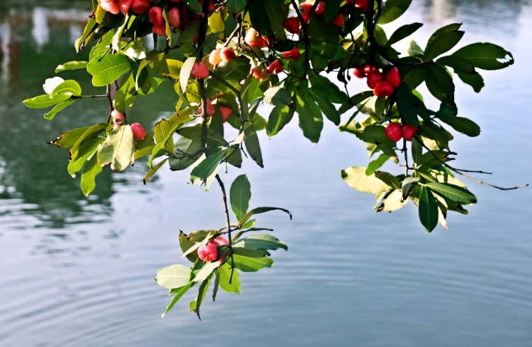 陪伴就是最长情的告白,周末,带儿子到佛山“小台湾”度个假