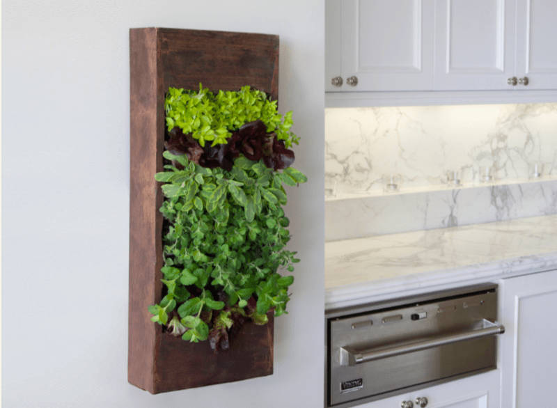 30个令人赞叹不已的生活墙设计创造自己的垂直花园，这或许从没见过的全花园式装修