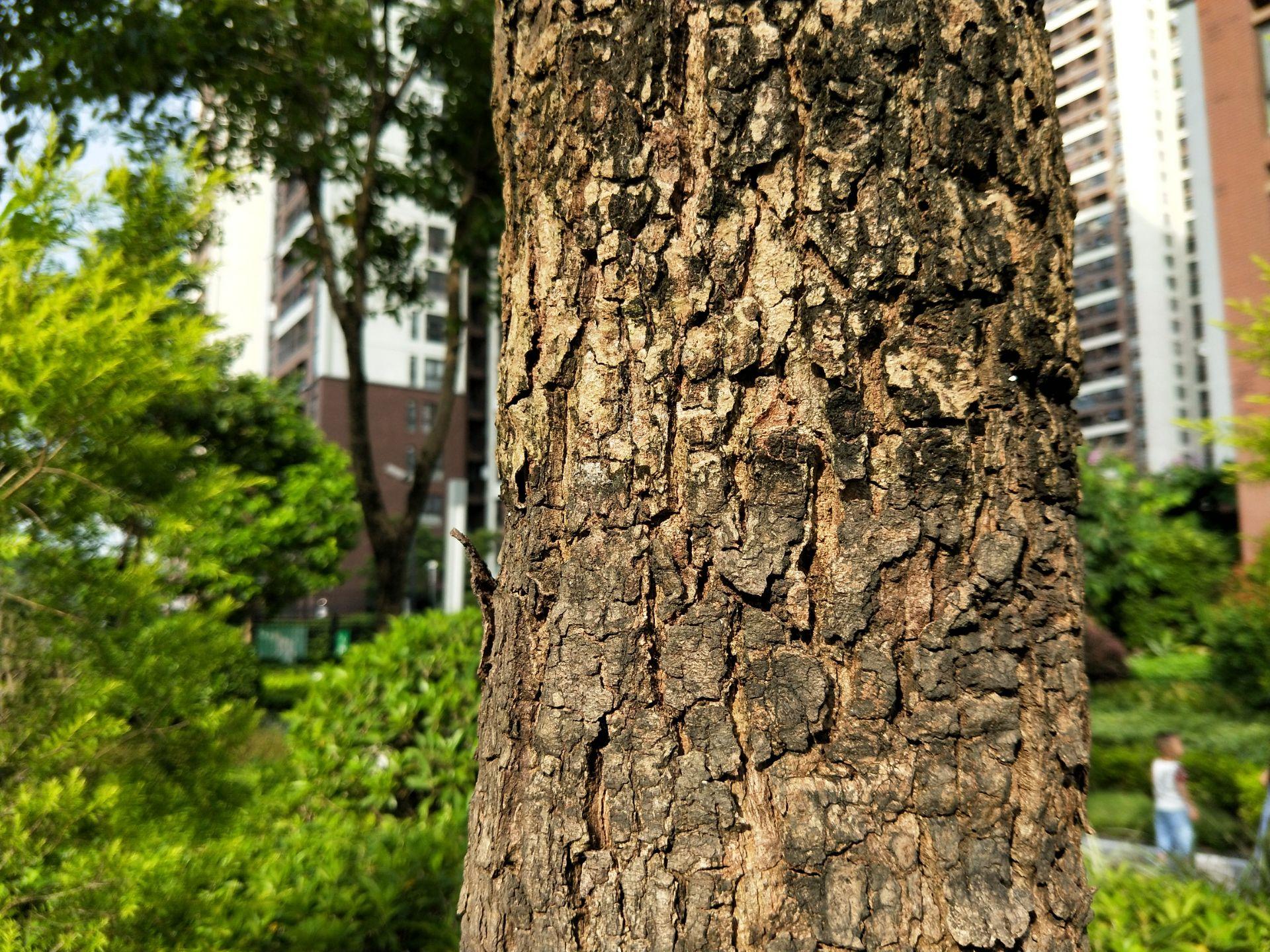 oppor11值得买二手,oppor11好用吗值得入手吗