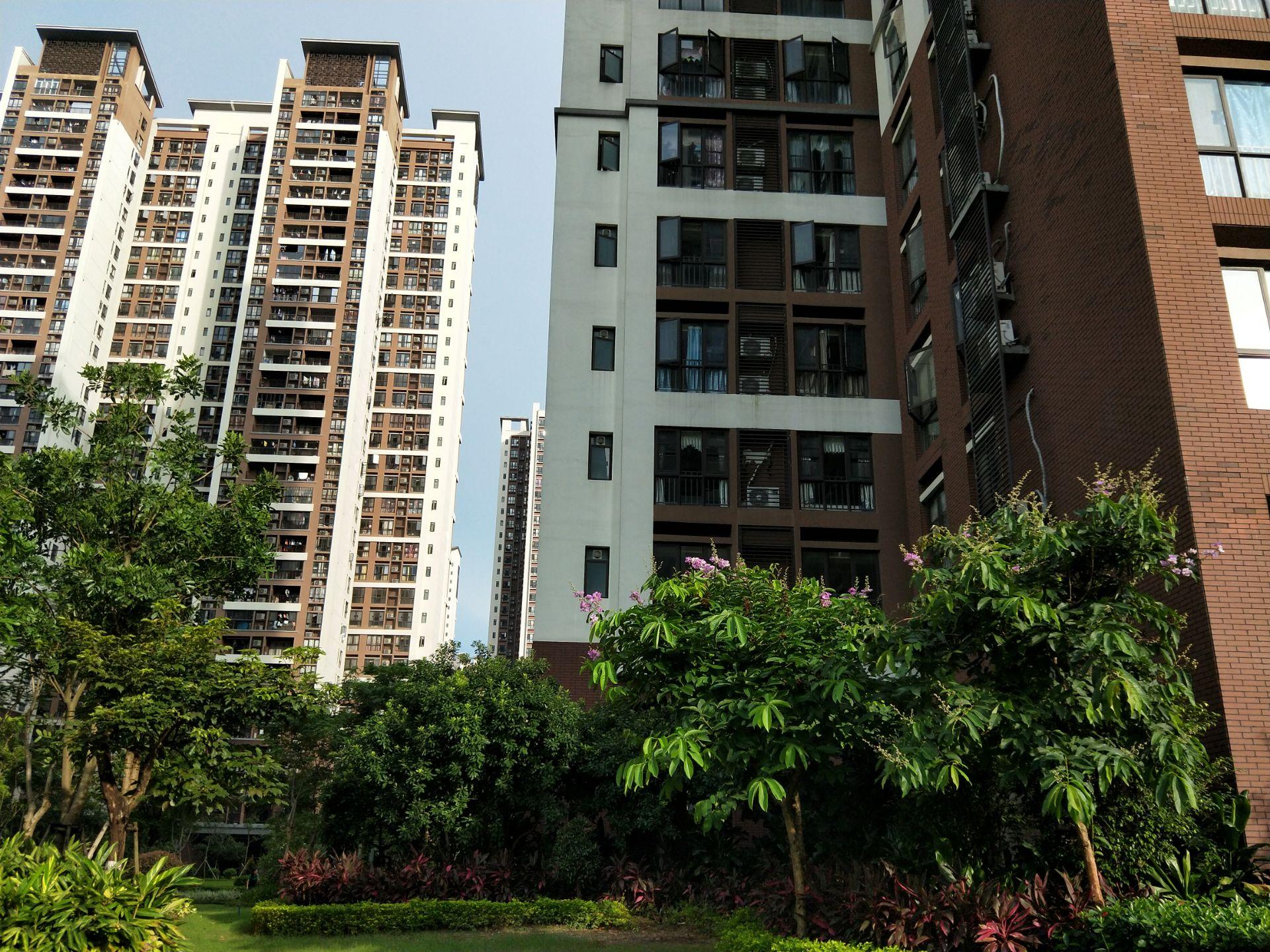 oppor11值得买二手,oppor11好用吗值得入手吗