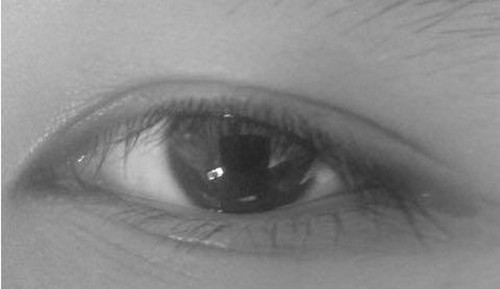 眼睛什么样的眼型好看,眼睛又大又圆属于什么眼型