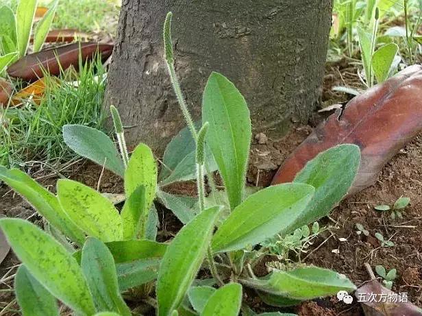 车到山前必有草,车到山前必有路山前山后都有