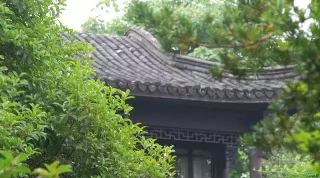 外婆家设计师沈雷作品,设计师沈雷