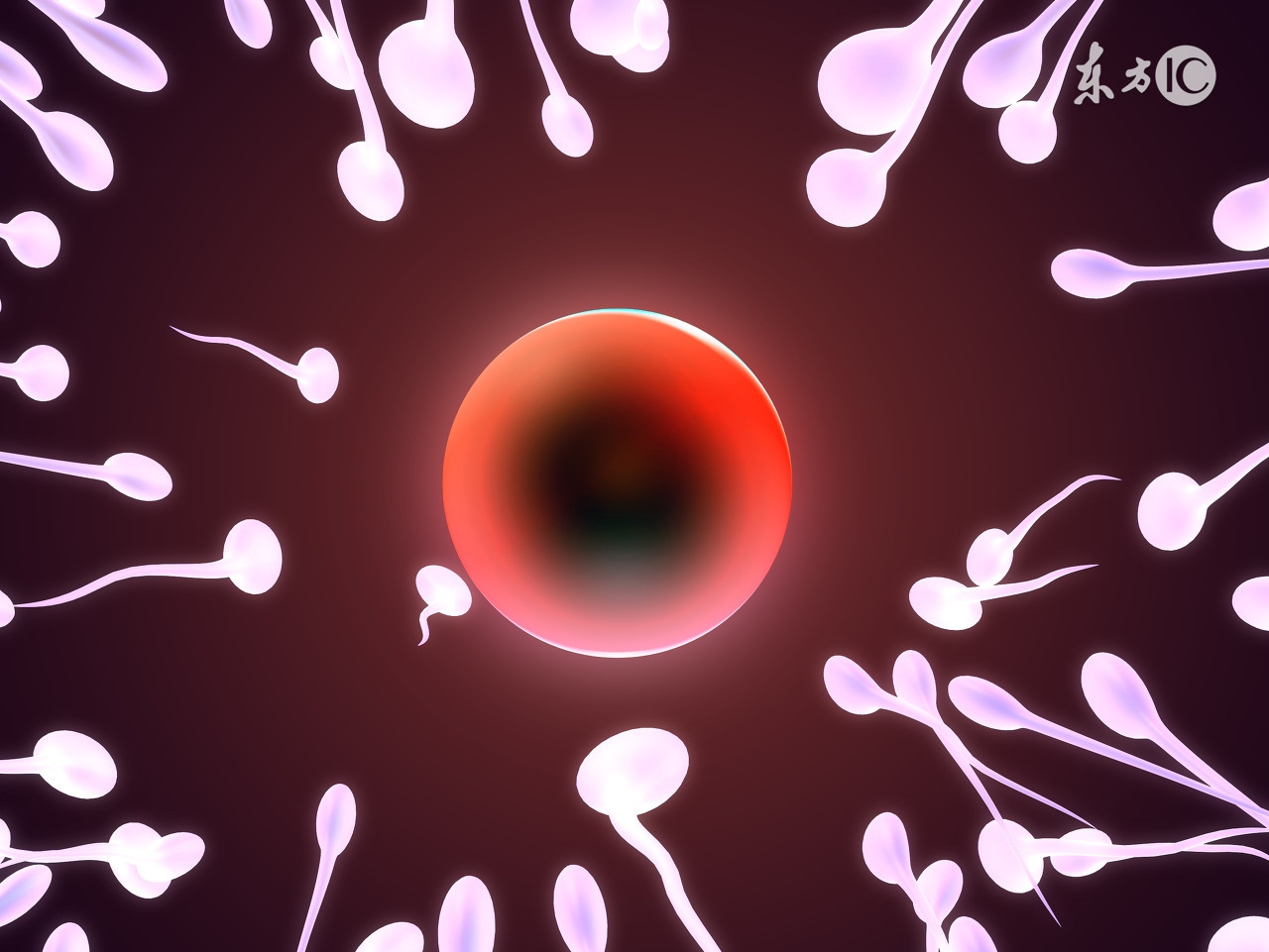 关于生男生女有哪些误区,生男生女的建议