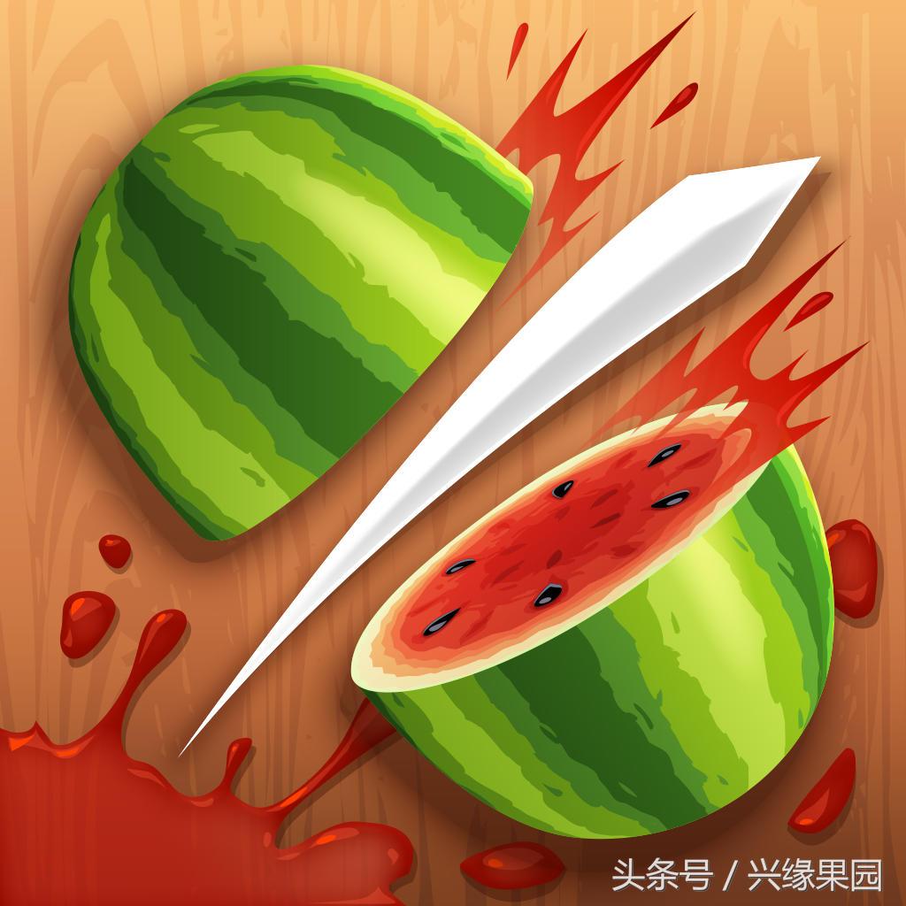 水果和游戏,和水果有关的手机游戏有哪些