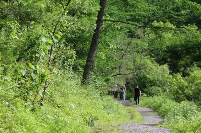 推荐秦岭避暑好去处,秦岭中的避暑胜地