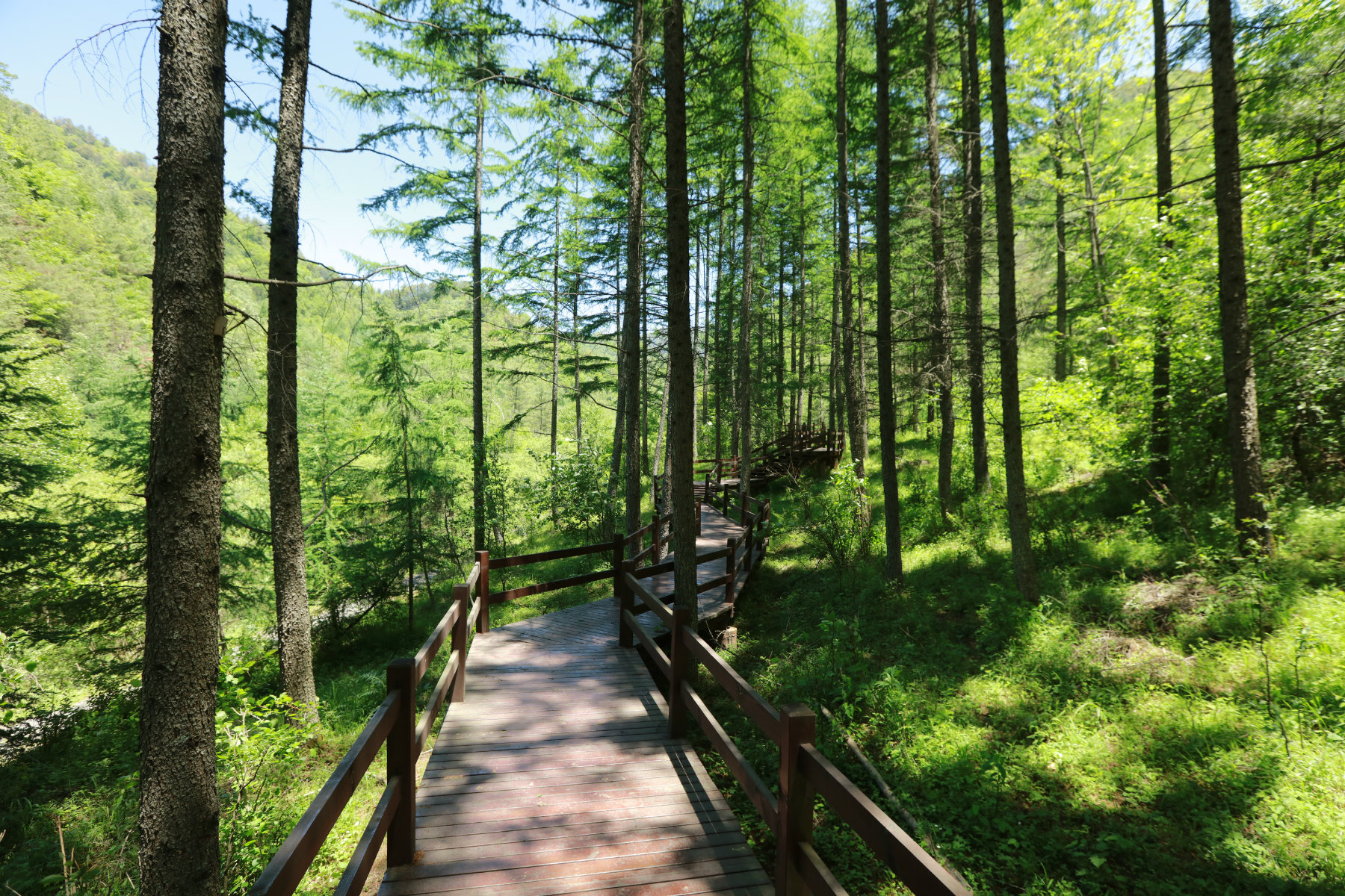 推荐秦岭避暑好去处,秦岭中的避暑胜地