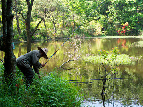 泥鳅钓翘嘴的方法,泥鳅钓法视频教程