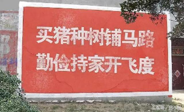 看遍三年教授“10万元买什么车”,阿牛终于出手了