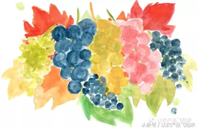 有种葡萄园，卖的不是产品，而是特色