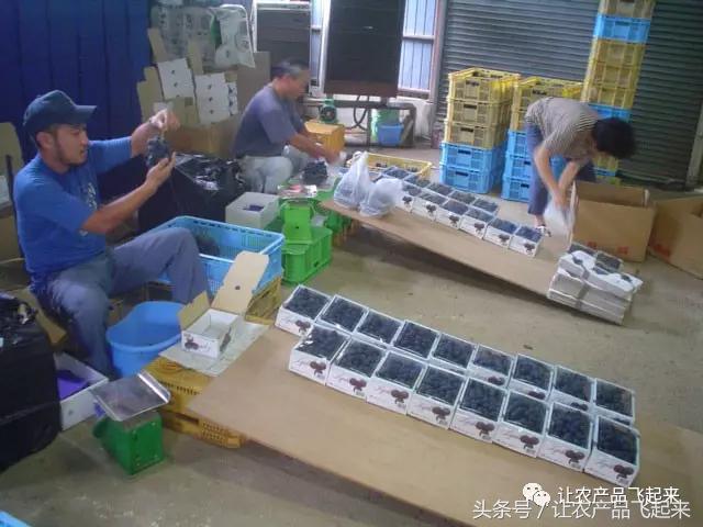 有种葡萄园，卖的不是产品，而是特色