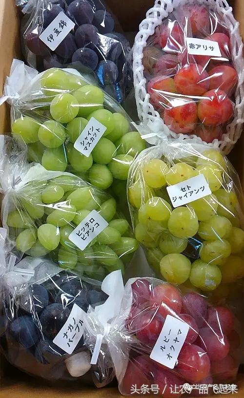 有种葡萄园，卖的不是产品，而是特色