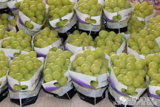 有种葡萄园，卖的不是产品，而是特色