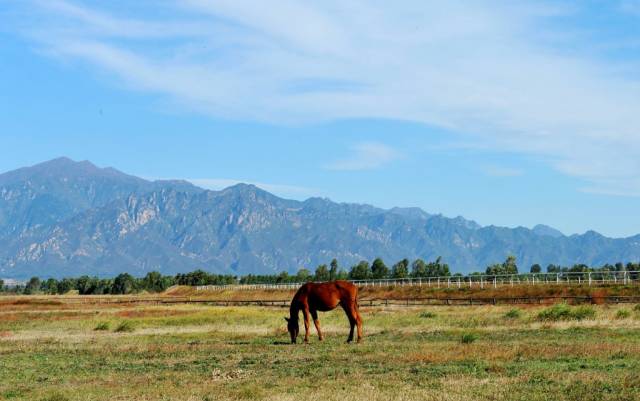 康西草原门票多少,延庆康西草原攻略