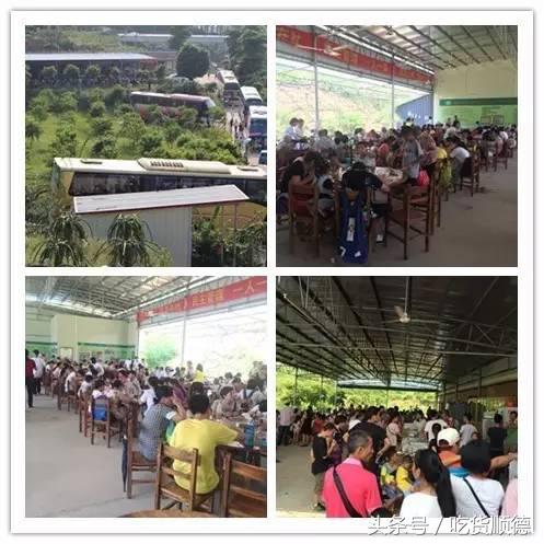 高明可以摘水果的农庄,高明60亩农庄