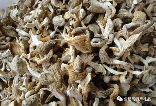 食用菌系列介绍,无添加7款菌菇