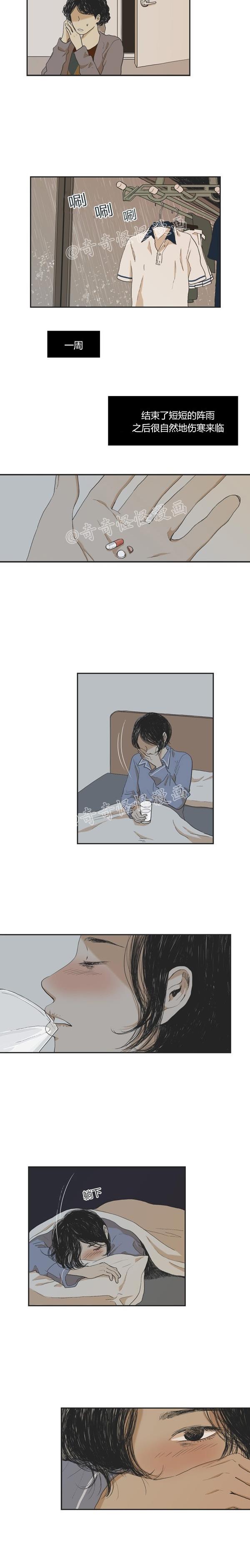 睡前漫画韩国高人气漫画莲花，你还记得初恋是什么感觉吗？