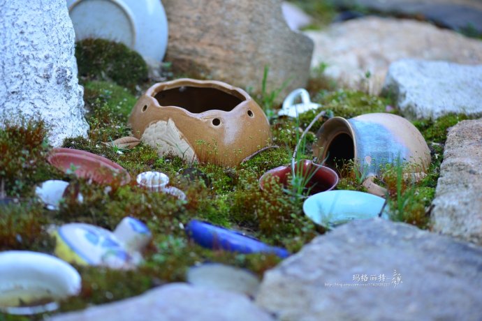 鎷滆涓滅鑽夊爞,鑺卞洯鎷滆