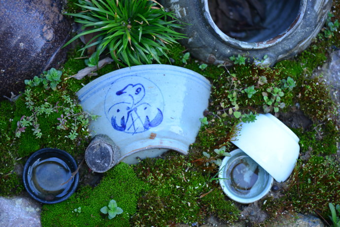 鎷滆涓滅鑽夊爞,鑺卞洯鎷滆