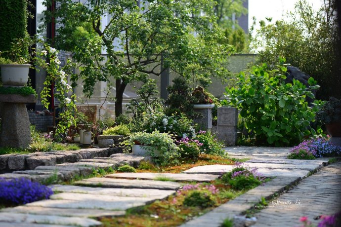 鎷滆涓滅鑽夊爞,鑺卞洯鎷滆