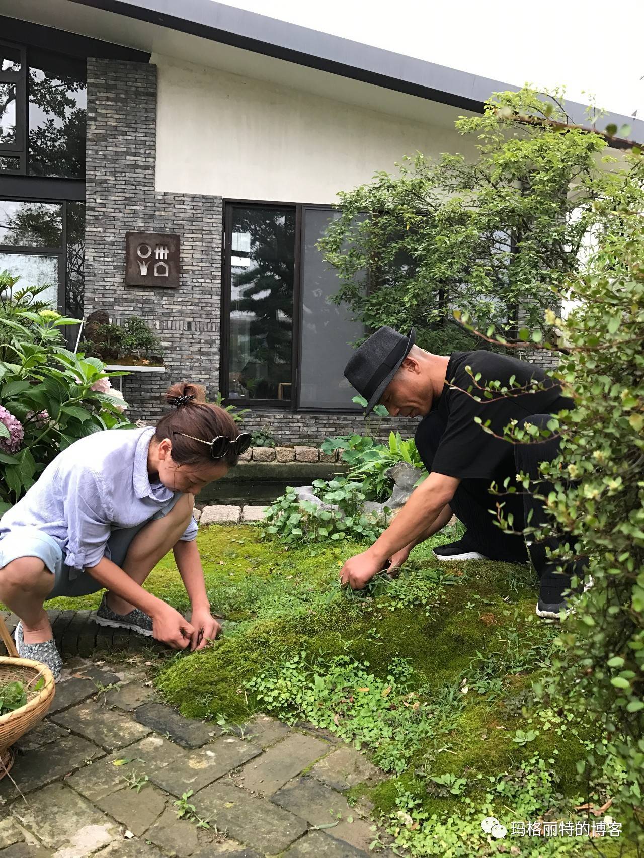 鎷滆涓滅鑽夊爞,鑺卞洯鎷滆