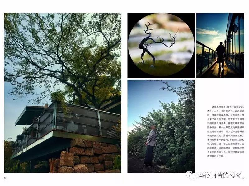 鎷滆涓滅鑽夊爞,鑺卞洯鎷滆