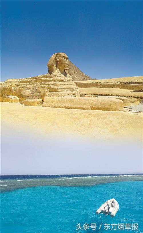 古迹带来市场繁荣!在神秘埃及购物的终极体验