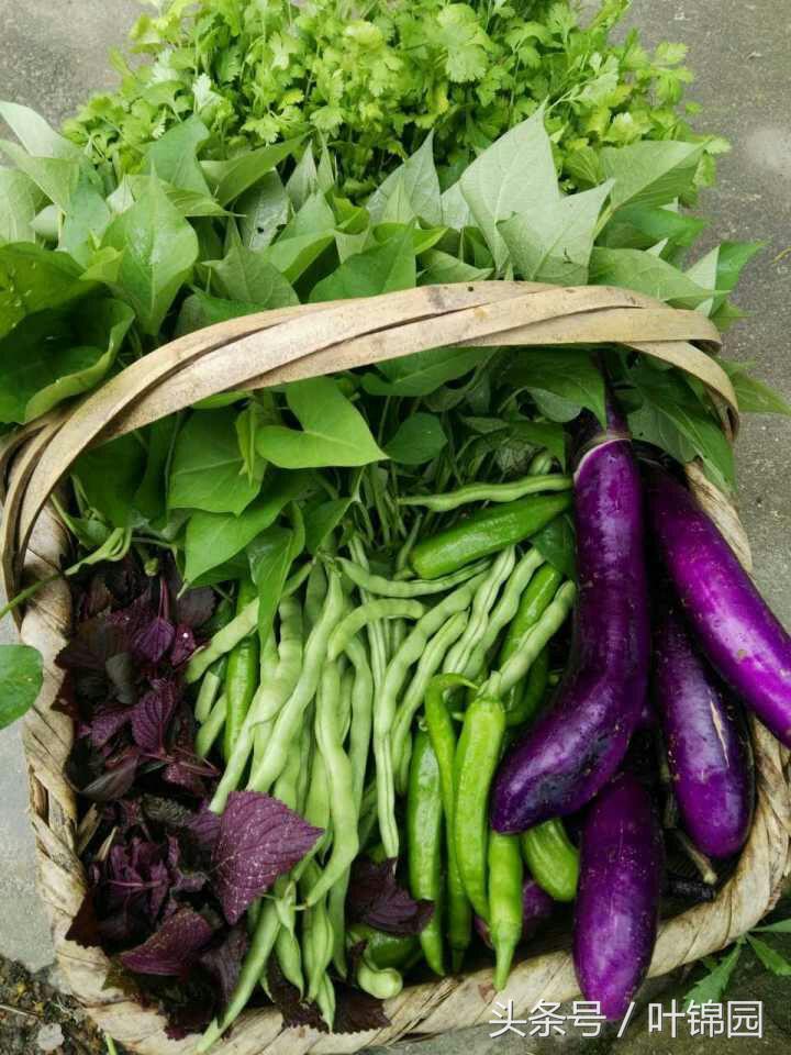 锦园，心得自在呼吸