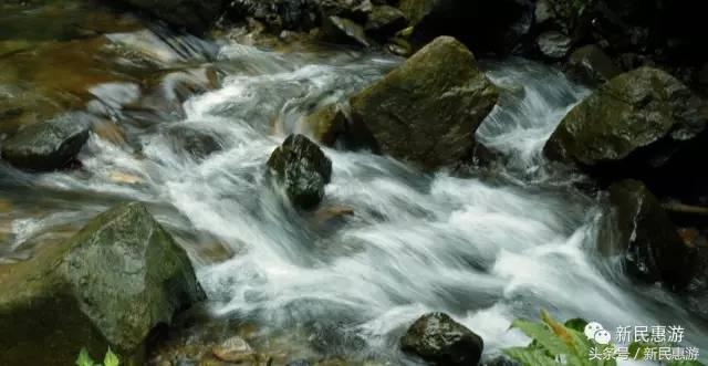 在太湖看大自然风景,感受大自然的气息和太湖沿途风景