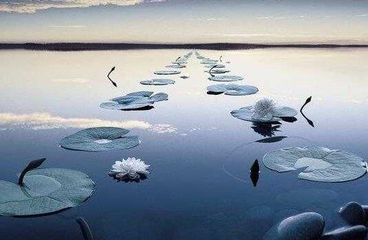 做到这五步轻松让老板给你涨工资,谈薪资的技巧和策略