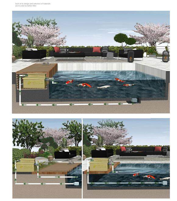 锦鲤鱼池过滤设备价格,鱼池净化过滤设备排行