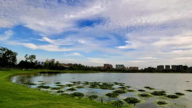 在他们的镜头下，锦城湖又美出了新高度