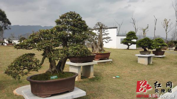 美丽炎陵，一个您想要去而一定要去的地方