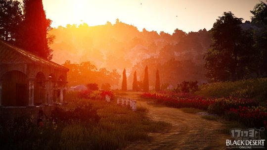 “迟到”几年的《黑色沙漠》靠什么打动中国玩家?
