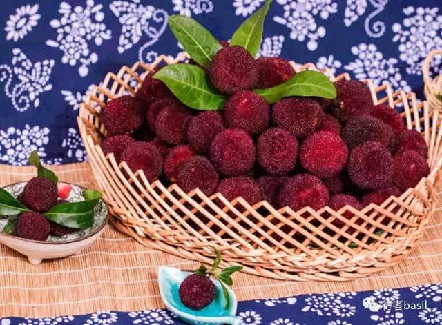 正宗杨梅酒的泡制方法,怎样酿制杨梅酒窍门