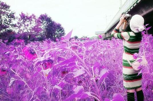 人到中年不碰三情的感悟,人到中年不交三种情不处三种人