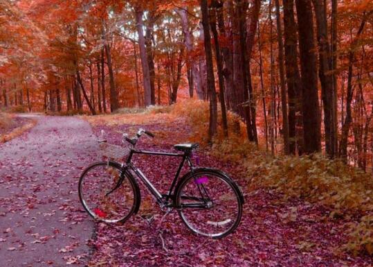 人到中年不碰三情的感悟,人到中年不交三种情不处三种人
