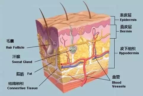 宝宝痱子不管它自己能好吗,宝宝痱子误区