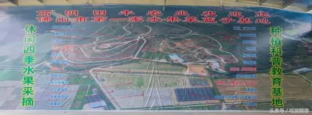 高明可以摘水果的农庄,高明60亩农庄