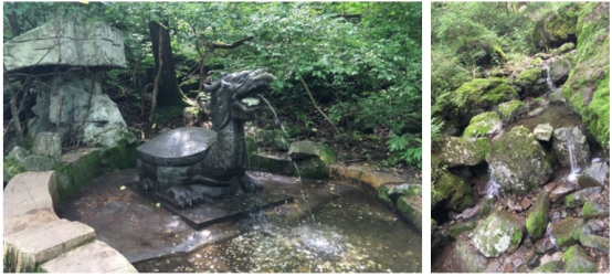 沈阳附近旅游攻略必玩的景点最新,沈阳旅游景点免门票的有哪些地方