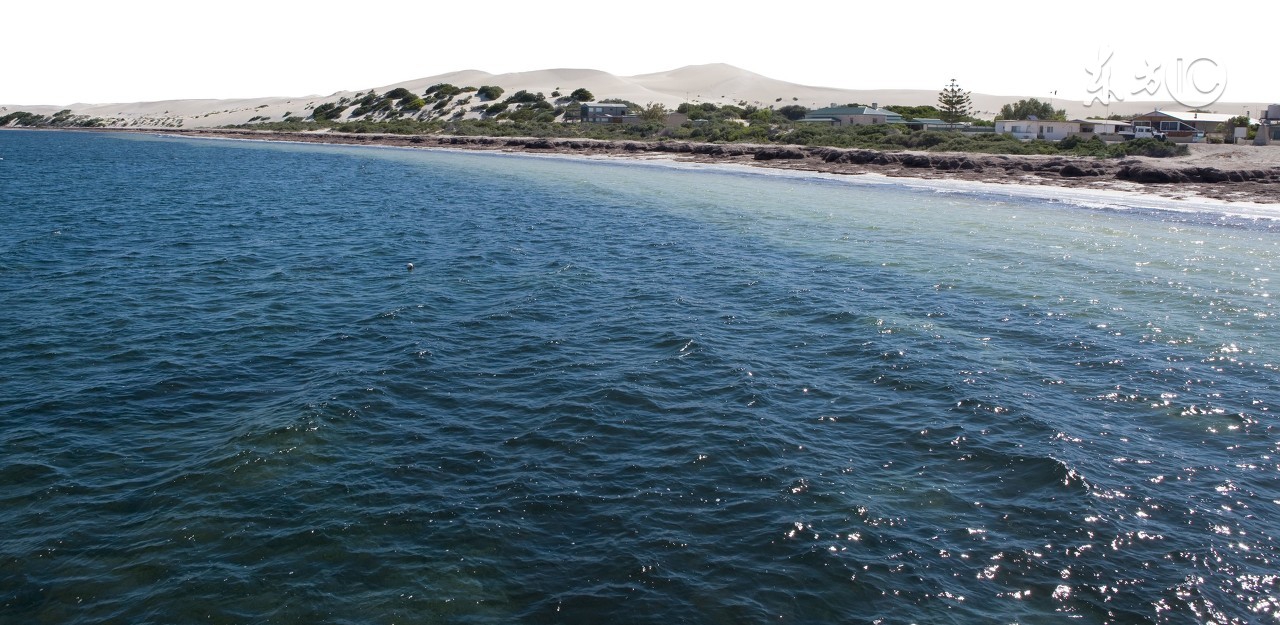 初一下册英语第11单元语法,初一下册人教版英语12单元知识点